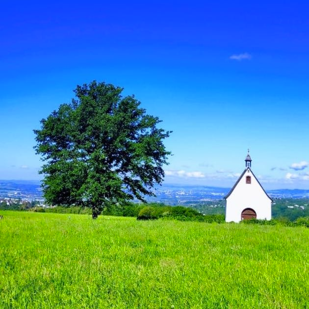 Padres de Schoenstatt em Portugal